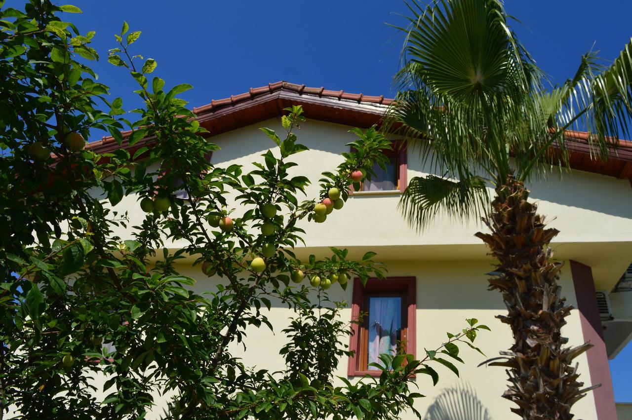 Erasmus Apart Hotel Дальян Екстер'єр фото
